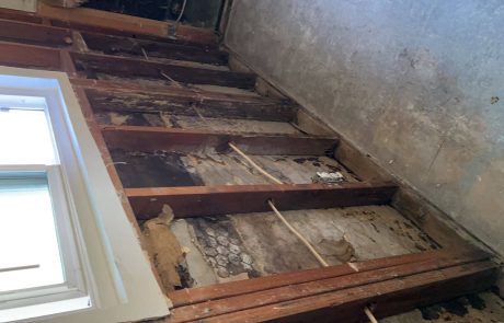 Mold Removal Project in Chula Vista