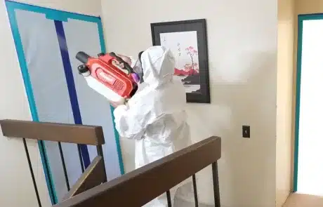 Mold-Remediation-La-Mesa-10
