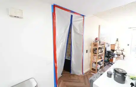 Mold-Remediation-La-Mesa-2