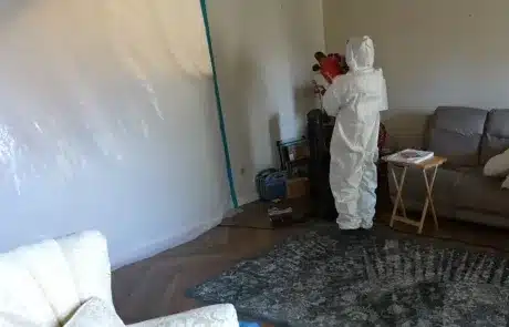 Mold-Remediation-La-Mesa-4