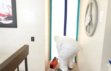 Mold-Remediation-La-Mesa-7