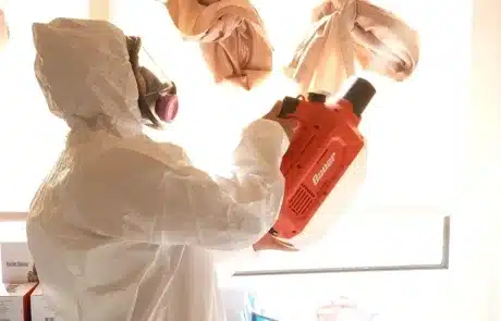 Mold-Remediation-La-Mesa-9