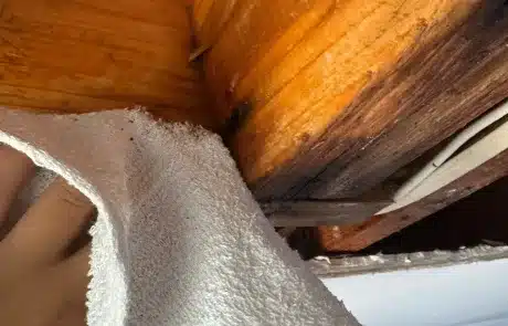 Ceiling-Water-Damage-Remediation-in-San-Diego-24