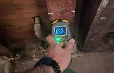 Identifying-Moisture-San-Diego-CA-6