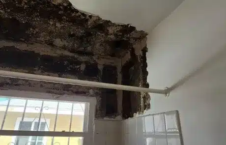bathroom-mold-remediation-2