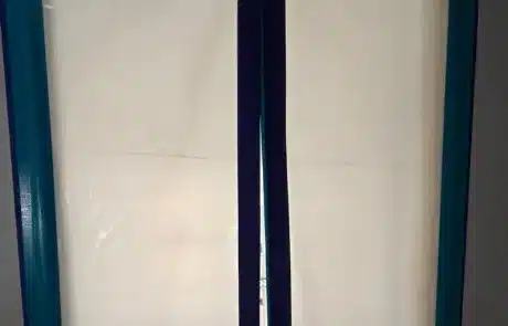 bathroom-mold-remediation-3