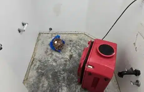 Bathroom-Floor-Water-Damage-Remediation-Oceanside-CA-5