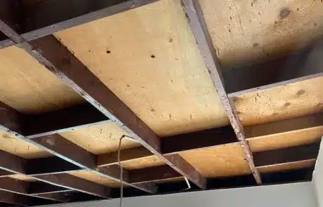 Living-Room-Ceiling-Mold-Remediation-La-Mesa-CA-After-3