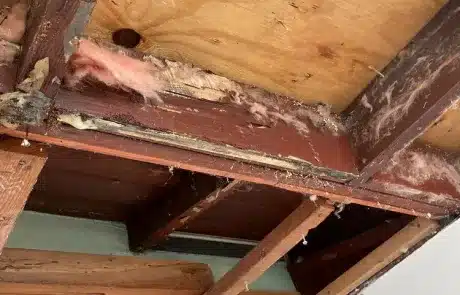 Living-Room-Ceiling-Mold-Remediation-in-La-Mesa-CA-Before-1