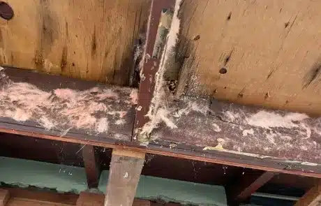 Living-Room-Ceiling-Mold-Remediation-in-La-Mesa-CA-Before-2