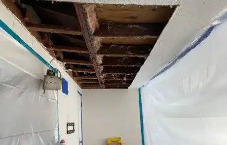 Living-Room-Ceiling-Mold-Remediation-in-La-Mesa-CA-Before-3