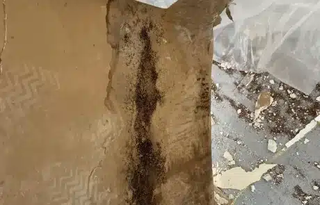 Living-Room-Ceiling-Mold-Remediation-in-La-Mesa-CA-Before-7