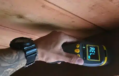 Basement-Mold-Remediation-2-1