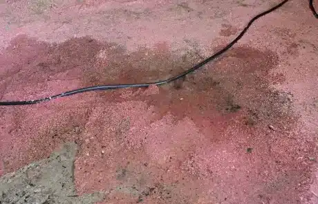 Basement-Mold-Remediation-2