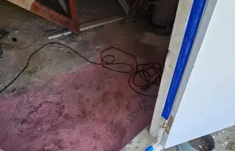 Basement-Mold-Remediation-3