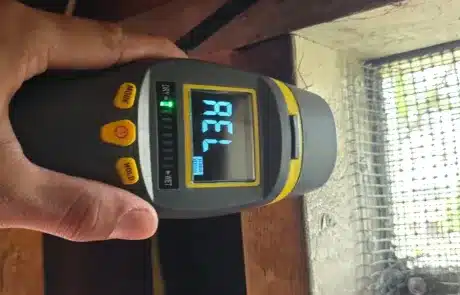 Basement-Mold-Remediation-4-1