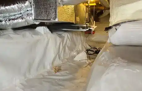 Crawl-Space-Mold-Remediation-1