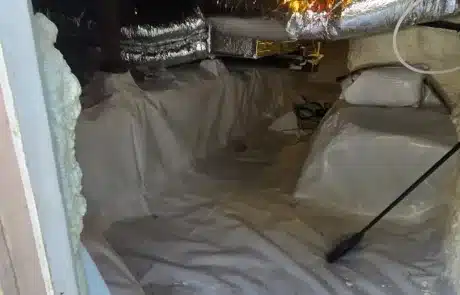 Crawl-Space-Mold-Remediation-2