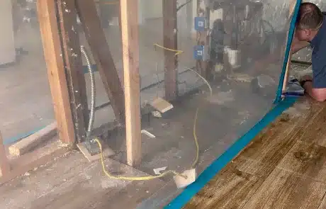 Kitchen-Cabinet-Mold-Remediation-1-1