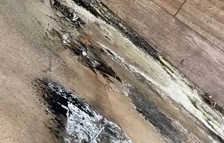 Kitchen-Cabinet-Mold-Remediation-2-1