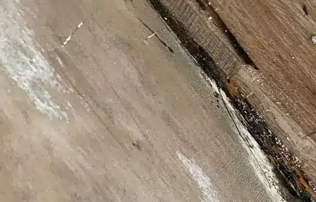 Kitchen-Cabinet-Mold-Remediation-3-1