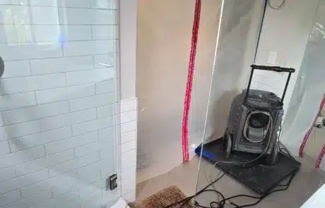 Shower-Ceiling-Mold-Remediation-3
