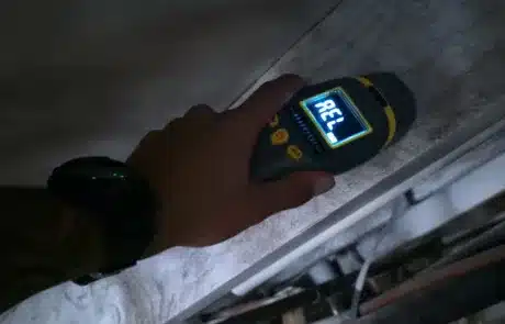 This-Crawl-Space-Mold-Remediation-1