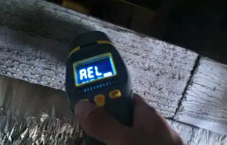 This-Crawl-Space-Mold-Remediation-3