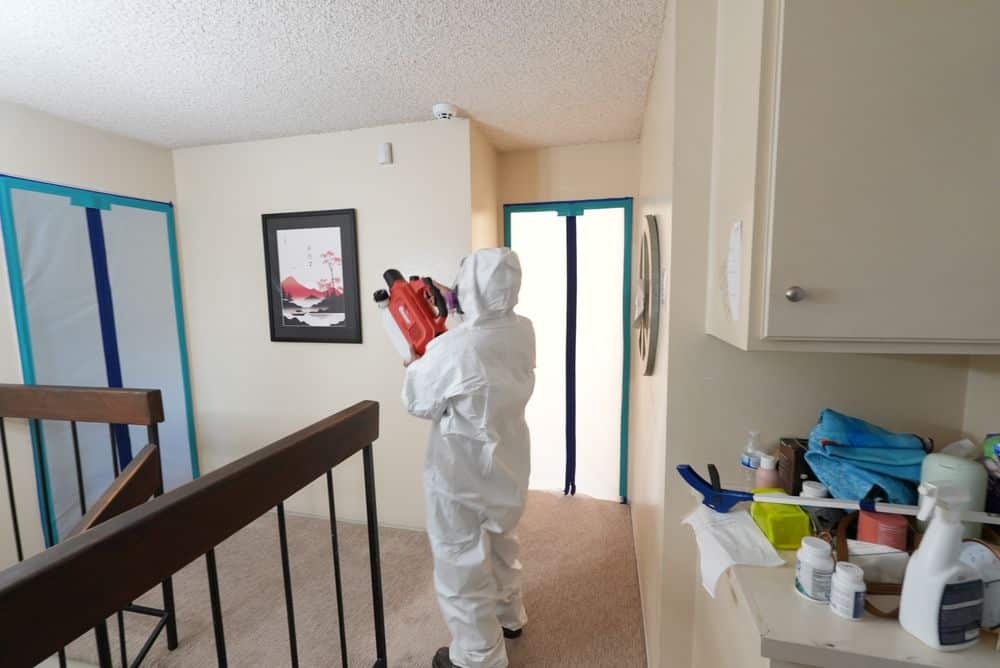 Learn about this success story