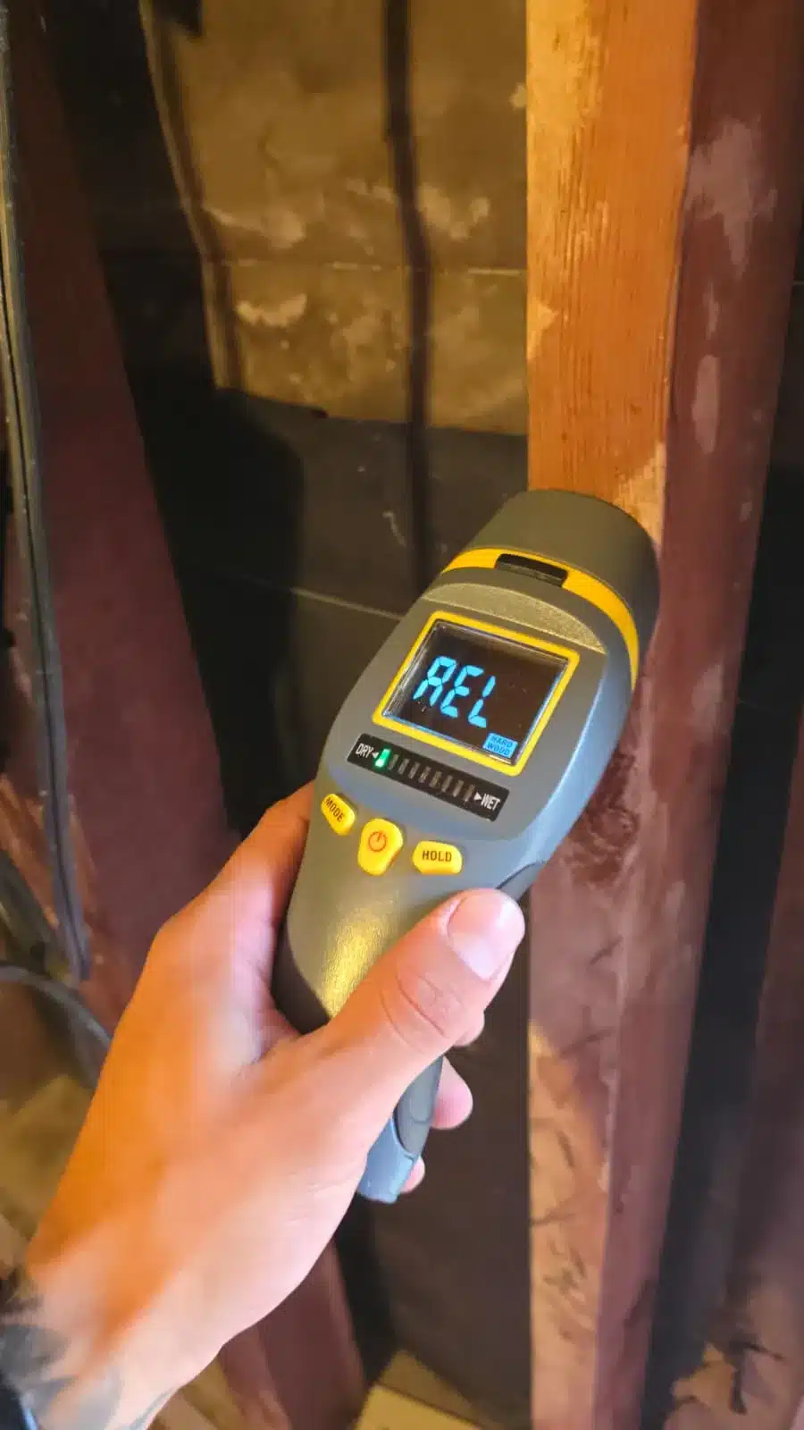 Learn about this success story