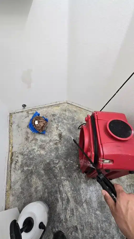 Learn about this success story