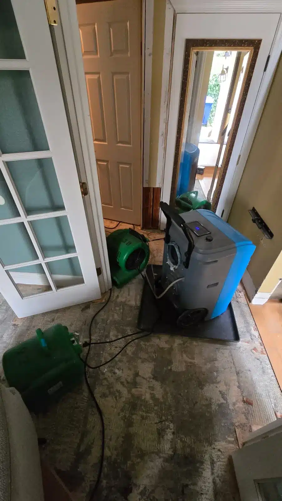 Learn about this success story