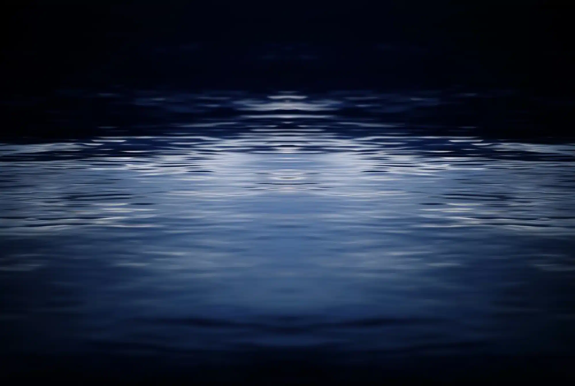 Learn about this success story