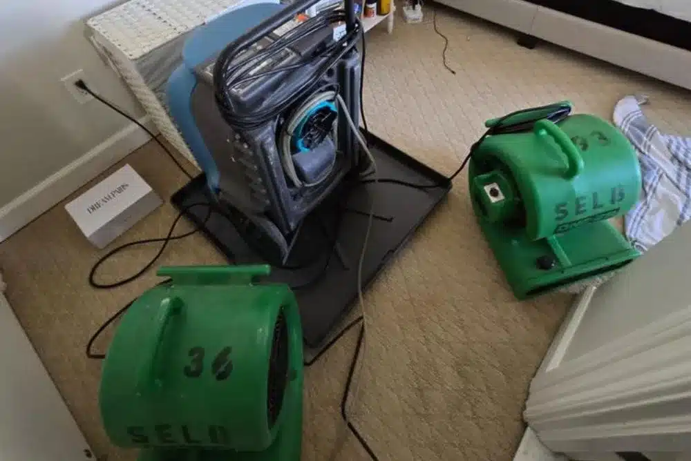 Learn about this success story