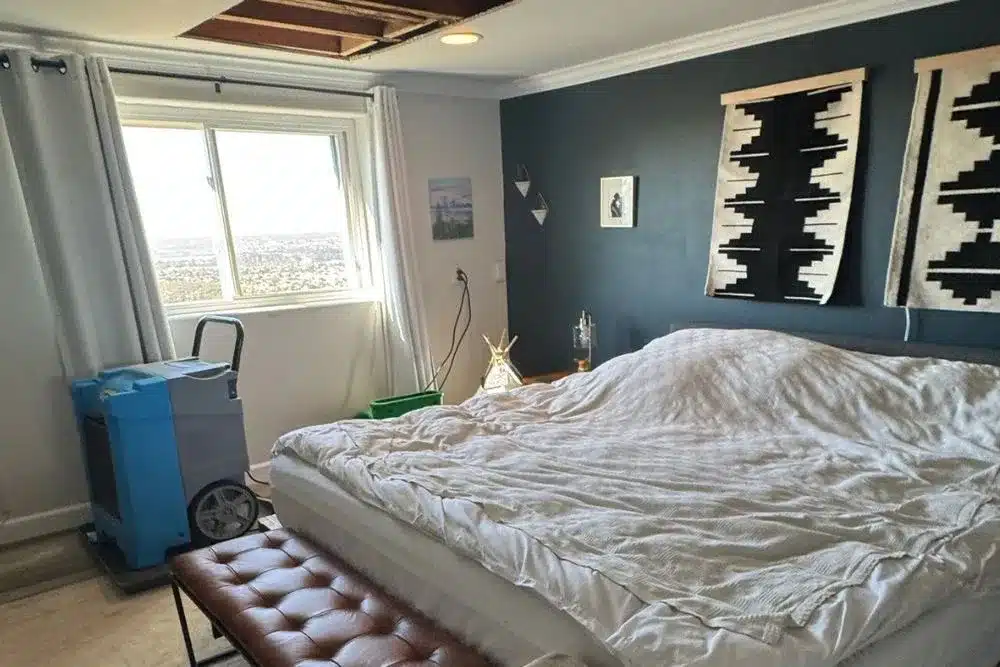 Learn about this success story