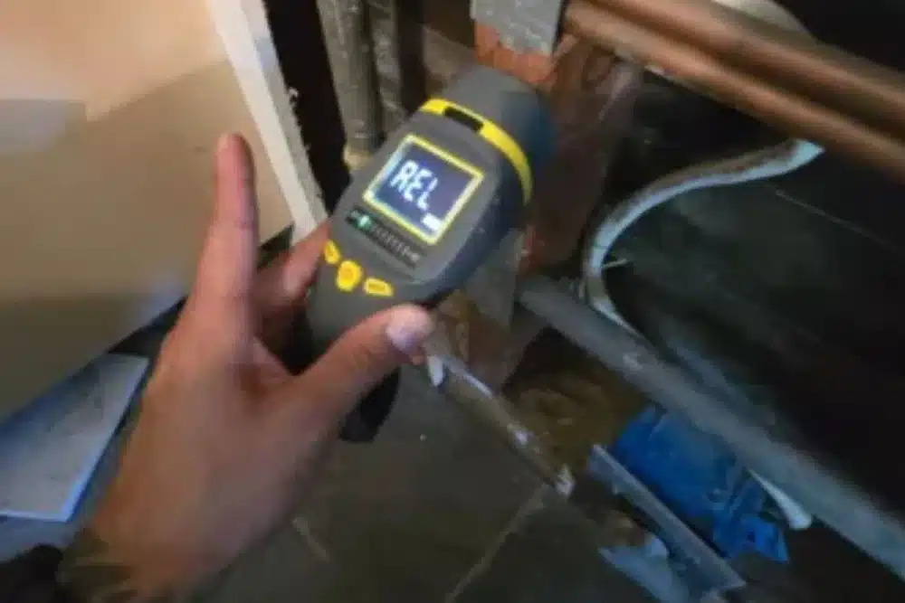 Learn about this success story