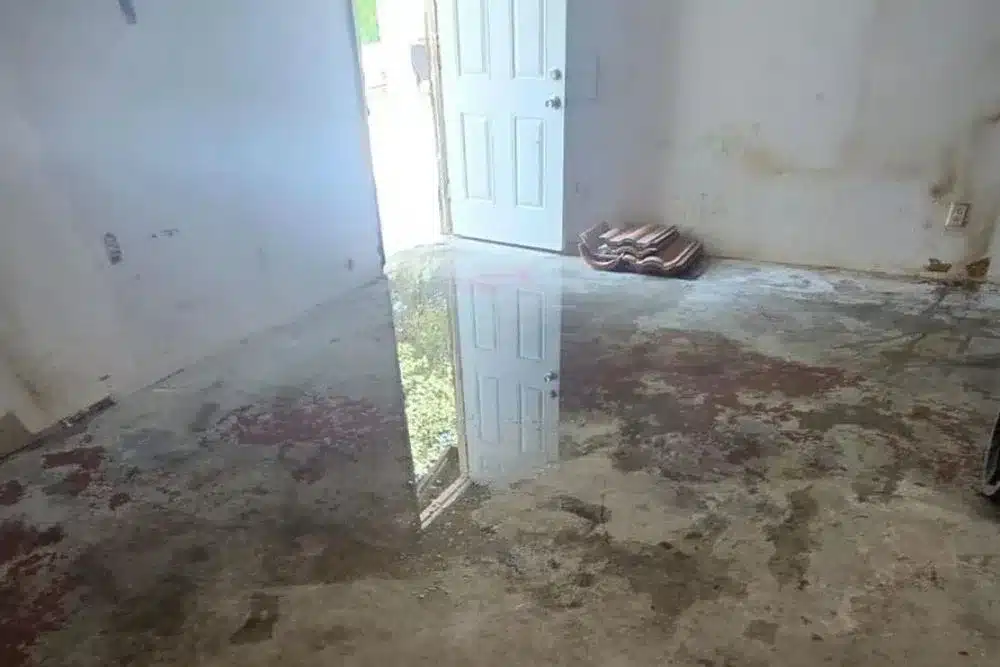 Learn about this success story