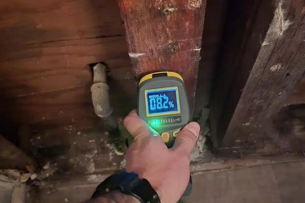 Learn about this success story