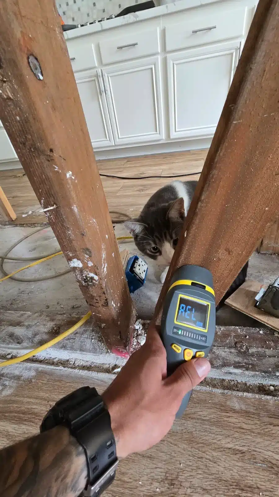 Learn about this success story