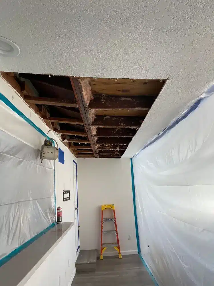 Learn about this success story