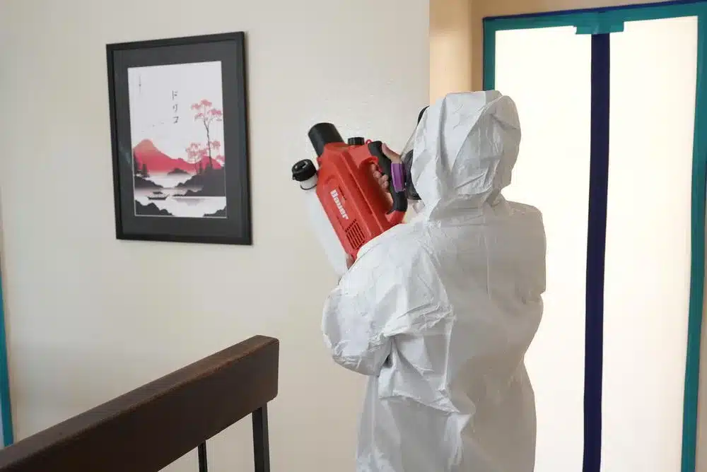 Learn about this success story