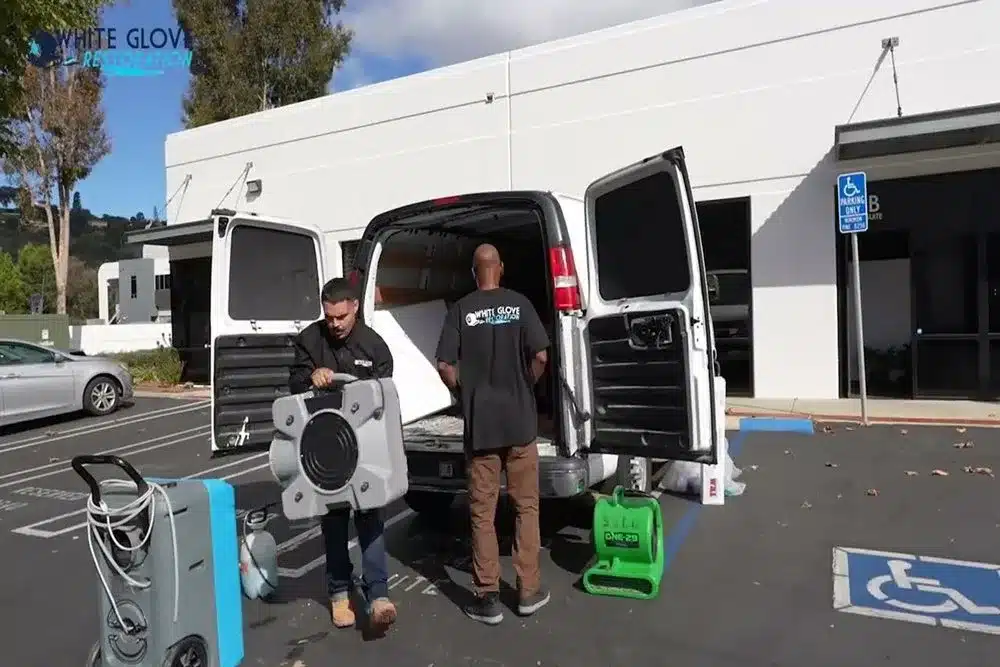 Learn about this success story