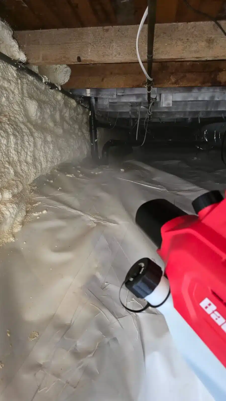 Learn about this success story