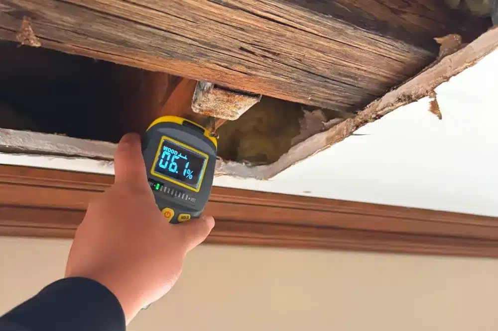 Learn about this success story