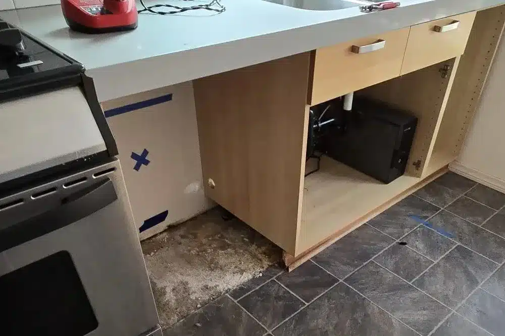 Learn about this success story