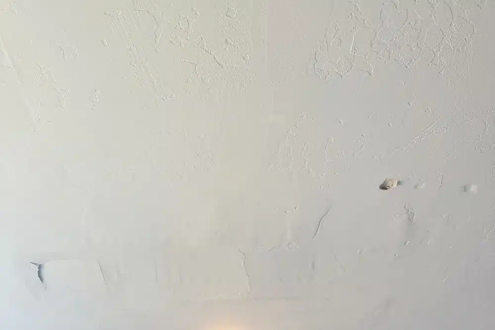 Learn about this success story