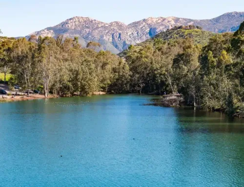 Fire and Smoke Damage Cleanups in El Cajon, CA