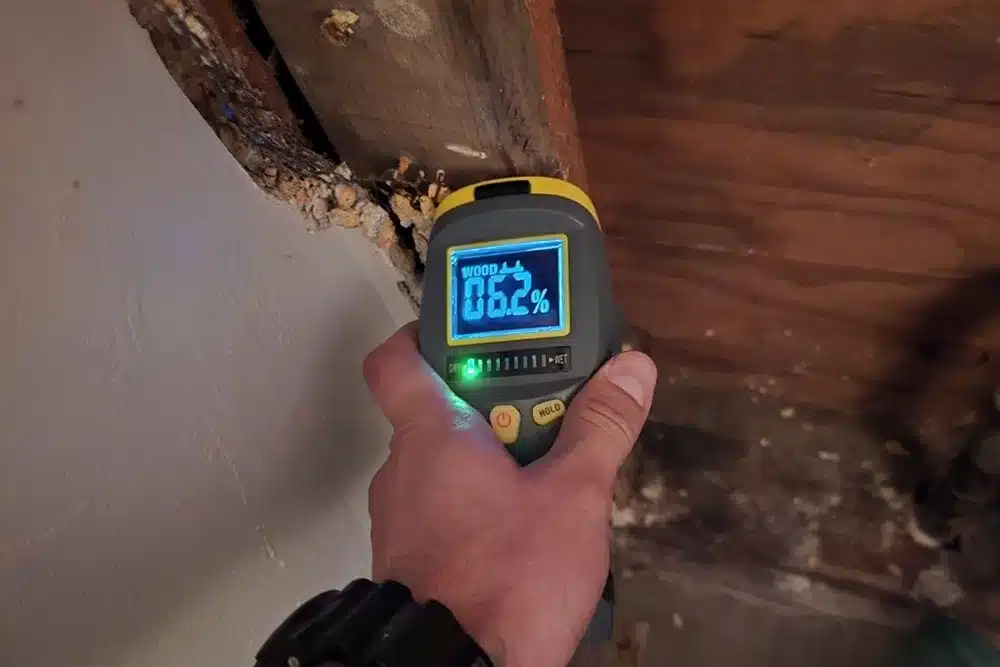 Learn about this success story