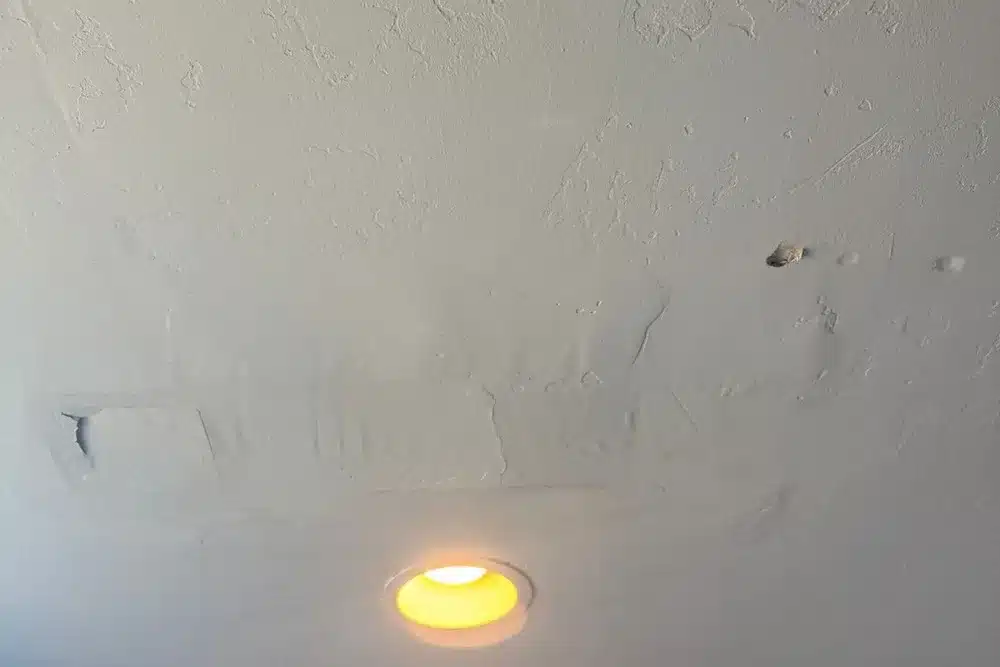 Learn about this success story