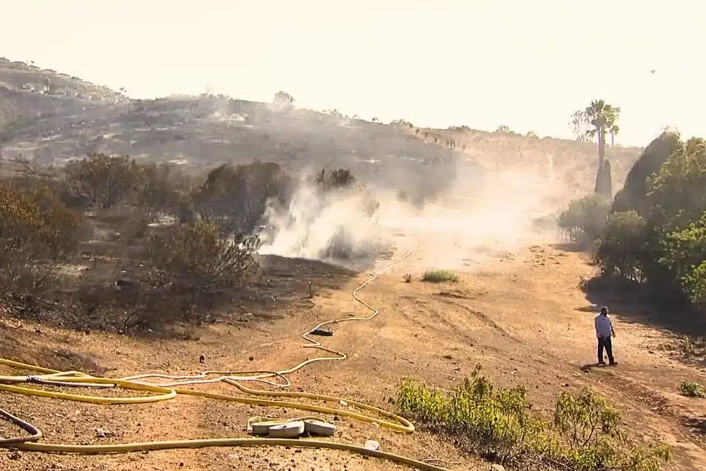 Learn about this success story